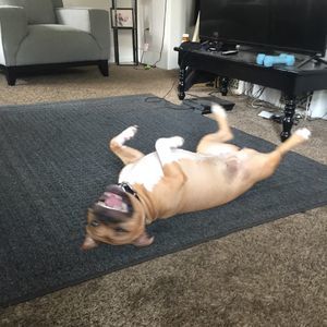 Meet your Posher, Keriann